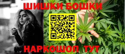 сатива Нальчик