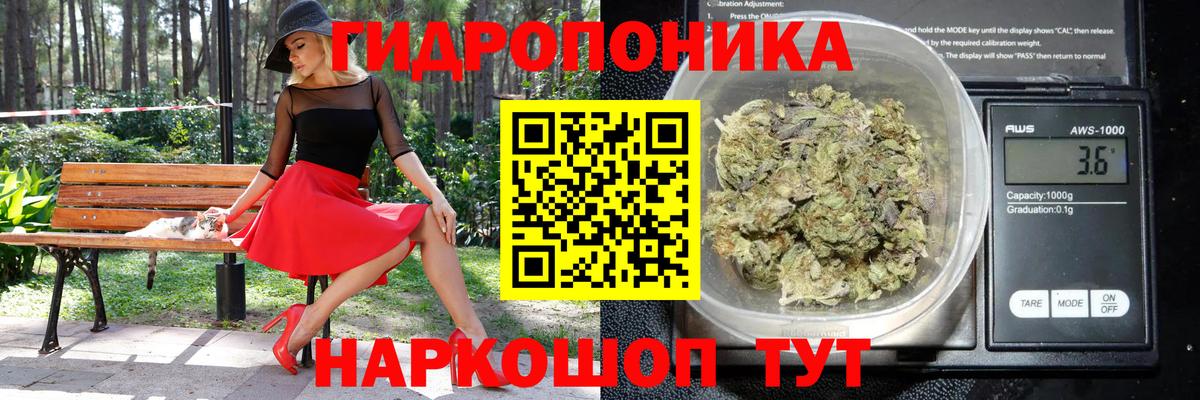 Каннабис индика  МАРИХУАНА White Widow  Сосновоборск  Вход с VPN  МАРИХУАНА Amnesia  Каннабис OG Kush 